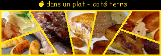 lien recette pommes dans un plat  cot terre